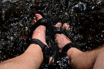 DSC_9901 (Large).JPG